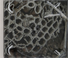 Load image into Gallery viewer, Jeph Jerman / Joachim Nordwall : Topology (Album)