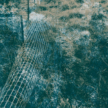 Load image into Gallery viewer, Kevin Corcoran : ambulation (Album)