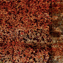 Load image into Gallery viewer, Sick Days (2) : shingles (Album)
