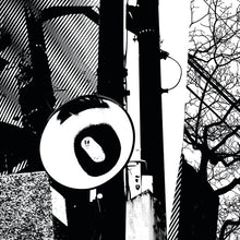 Load image into Gallery viewer, Kazumoto Endo / A Fail Association : Switchback / Head Cannon (LP,Album)