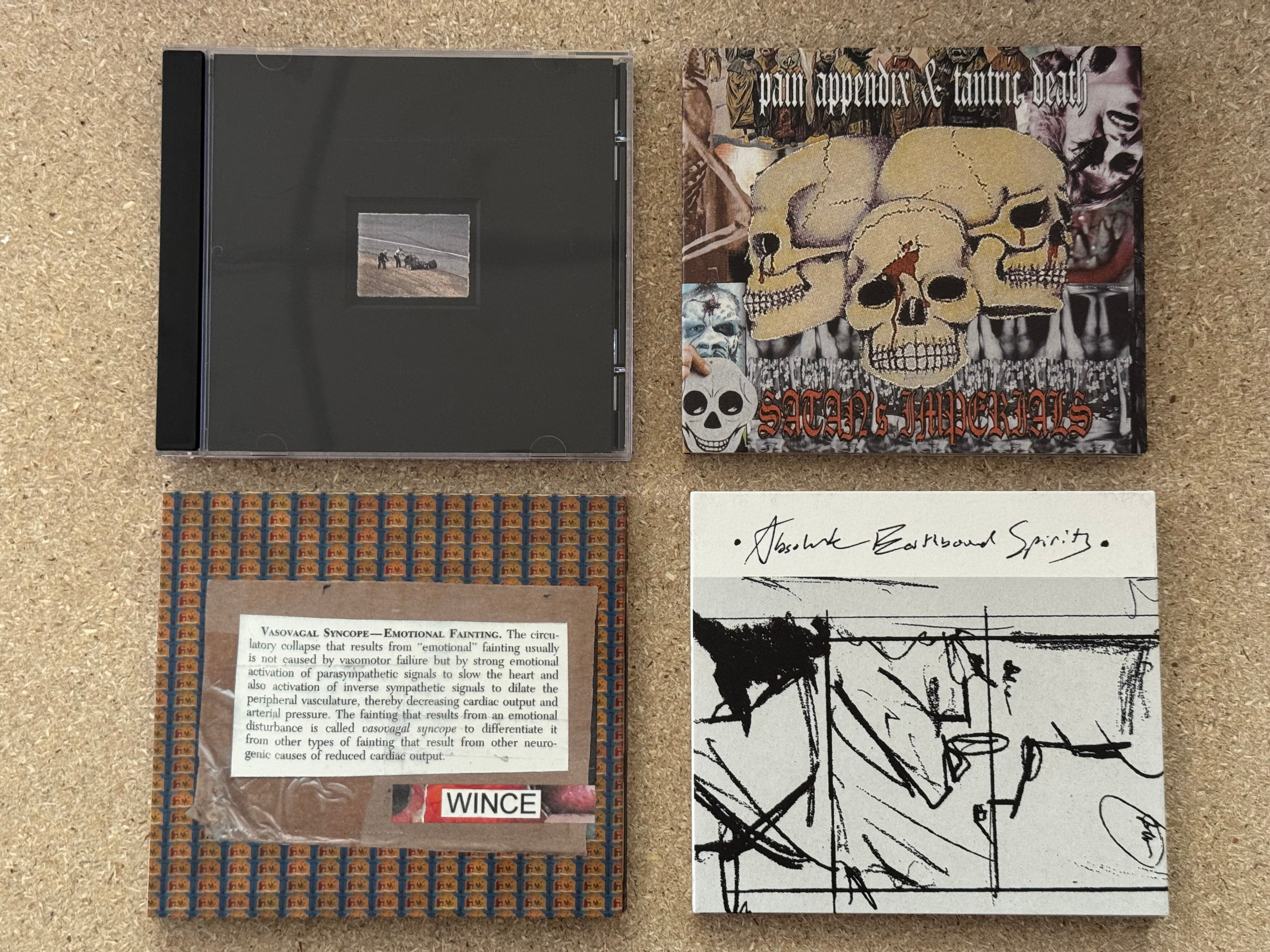 WCN Summer 2025 CD Batch – White Centipede Noise