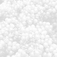 Load image into Gallery viewer, BJNilsen : Terroir (Mini,Limited Edition)
