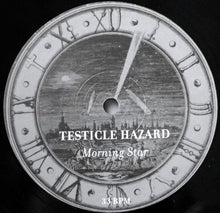 Load image into Gallery viewer, Golden Serenades, The / Testicle Hazard : Morning Star / Evening Fix (LP,Limited Edition)
