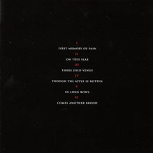 Load image into Gallery viewer, Prurient - Kevin Drumm : All Are Guests In The House Of The Lord (Limited Edition)
