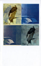 Load image into Gallery viewer, Altar Of Flies : Rabbit Hole (Single Sided,Album,Reissue)
