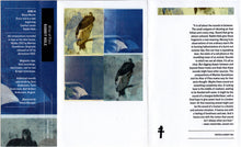 Load image into Gallery viewer, Altar Of Flies : Rabbit Hole (Single Sided,Album,Reissue)
