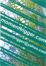 Load image into Gallery viewer, Moment Trigger : Burl (Limited Edition)
