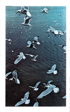 Load image into Gallery viewer, Mattias Gustafsson (2) : Tapeworks Volume VII (Landmusik) (Single Sided)
