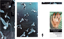 Load image into Gallery viewer, Mattias Gustafsson (2) : Tapeworks Volume VII (Landmusik) (Single Sided)
