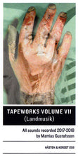 Load image into Gallery viewer, Mattias Gustafsson (2) : Tapeworks Volume VII (Landmusik) (Single Sided)
