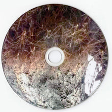 Load image into Gallery viewer, Worth (7) : Blood Possessed (Album)
