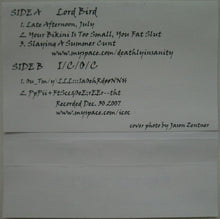 Load image into Gallery viewer, Lord Bird / I/C/O/C : Lord Bird / I/C/O/C (Limited Edition)
