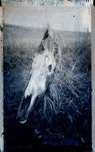 Load image into Gallery viewer, Lord Bird / I/C/O/C : Lord Bird / I/C/O/C (Limited Edition)
