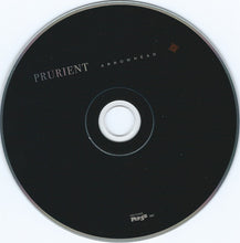 Load image into Gallery viewer, Prurient : Arrowhead (Album)
