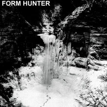 Load image into Gallery viewer, Form Hunter : Form Hunter (LP,Album)
