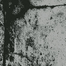 Load image into Gallery viewer, Lapse : Nothing Feels Right (Album)
