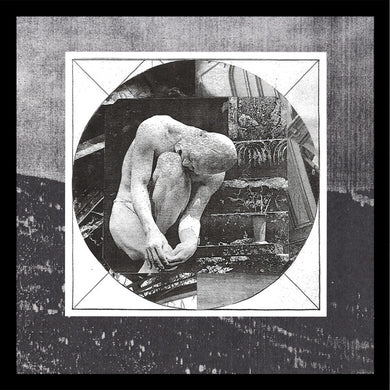 Harness (4) : Encased In Marble/Wrapped In Roots (Album)