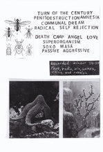Load image into Gallery viewer, H.Ö.H : Superorganism (LP)

