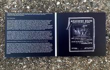 Load image into Gallery viewer, Straight Panic : Flagging: First Four Albums (Compilation,Reissue)
