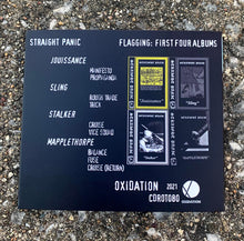 Load image into Gallery viewer, Straight Panic : Flagging: First Four Albums (Compilation,Reissue)
