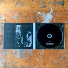 Load image into Gallery viewer, Mlehst : Breathing In Dead Flies / Cock Sucking Lips (Album,Compilation,Reissue,Remastered)
