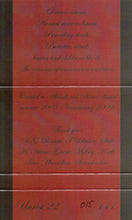 Load image into Gallery viewer, Pestdemon : Doppelgänger (Limited Edition,Numbered)
