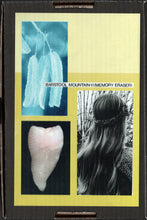 Load image into Gallery viewer, Barstool Mountain : II (Memory Eraser) ()
