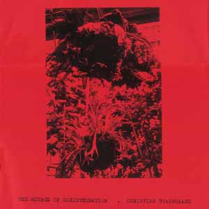 Christian Stadsgaard : The Source Of Disintegration (LP,Limited Edition)