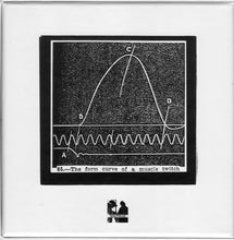 Load image into Gallery viewer, Hands To : Bio Electric ()
