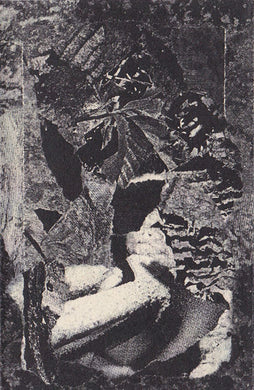 A Snake In The Garden : Tunnel Of Blinding Light (Limited Edition)