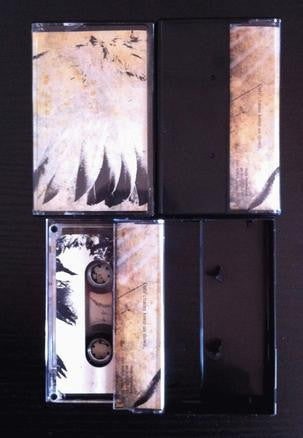 A Fail Association + Torturing Nurse : Untitled (Limited Edition)