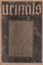 Load image into Gallery viewer, Urinals (2) : Urinals (Limited Edition)
