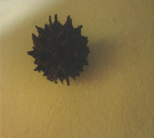 Load image into Gallery viewer, Jeph Jerman / Joachim Nordwall : Topology (Album)
