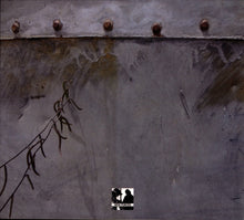 Load image into Gallery viewer, Jeph Jerman / Joachim Nordwall : Topology (Album)
