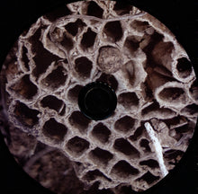 Load image into Gallery viewer, Jeph Jerman / Joachim Nordwall : Topology (Album)
