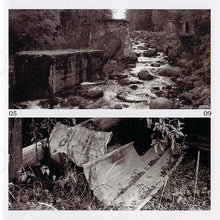 Load image into Gallery viewer, Alchemy Of The 20th Century : Beauty Of Aesthetic Imperfection (Album)
