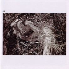 Load image into Gallery viewer, Alchemy Of The 20th Century : Beauty Of Aesthetic Imperfection (Album)
