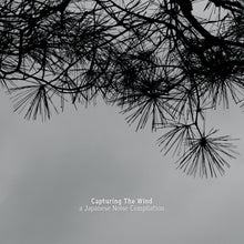 Load image into Gallery viewer, Various : Capturing The Wind, A Japanese Noise Compilation (Compilation)
