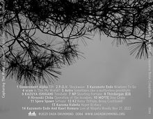 Load image into Gallery viewer, Various : Capturing The Wind, A Japanese Noise Compilation (Compilation)
