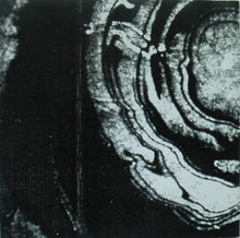 Load image into Gallery viewer, Ashley C : Timeless Reality (Album)
