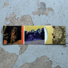 Load image into Gallery viewer, Howard Stelzer : Euclid Is A Dead Sponge (Album)
