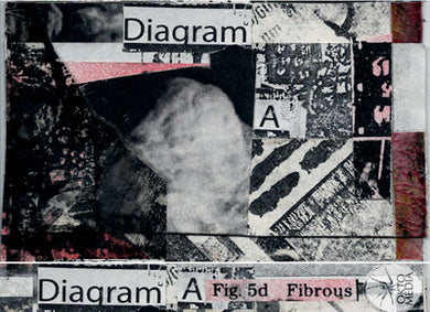 Diagram: A : Fig. 5d Fibrous (Limited Edition)
