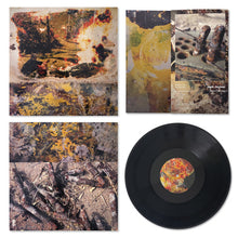 Load image into Gallery viewer, Jeph Jerman : Burn-im-rag (LP,Album)
