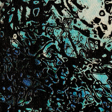 Load image into Gallery viewer, Toanche Dwelling : The Sentient Afterimage (Album)
