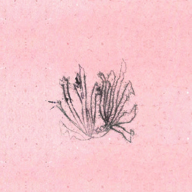 Meilt : Sords (Album,Limited Edition)