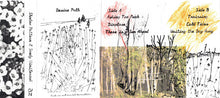 Load image into Gallery viewer, Shadow Pattern, Sandy Winiferová : Desire Path ()
