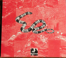 Load image into Gallery viewer, Shredded Nerve / Form Hunter : Shredded Nerve / Form Hunter (Reissue)
