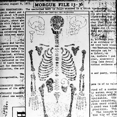 Morgue File : 13-36 ()