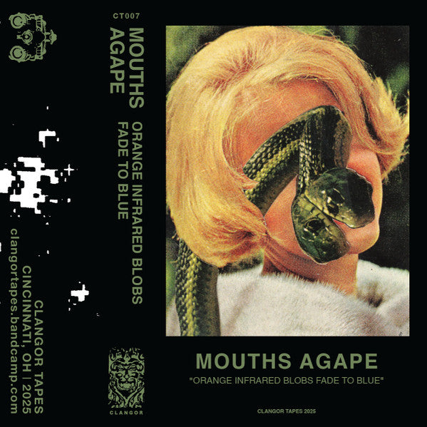 Mouths Agape : Orange Infrared Blobs Fade to Blue  (Stereo)