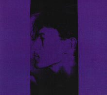 Load image into Gallery viewer, Dead Door Unit : Painted Windows (Album)
